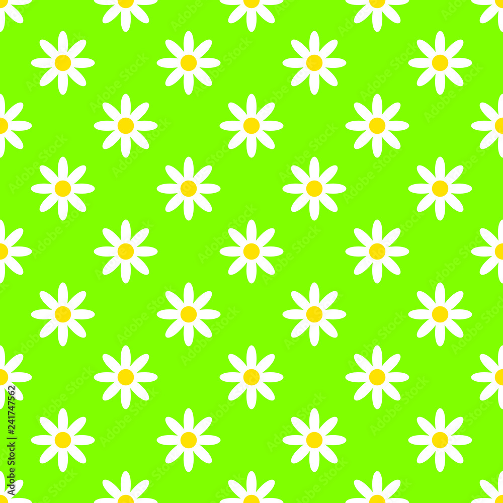 Summer seamless vector pattern with chamomile flowers