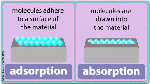 adsorption and absorption