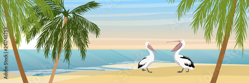 Two Australian pelicans on a tropical beach with sand and palm trees. Sea or ocean coast. Wild birds of Australia  New Guinea and Indonesia. Realistic Vector Landscape