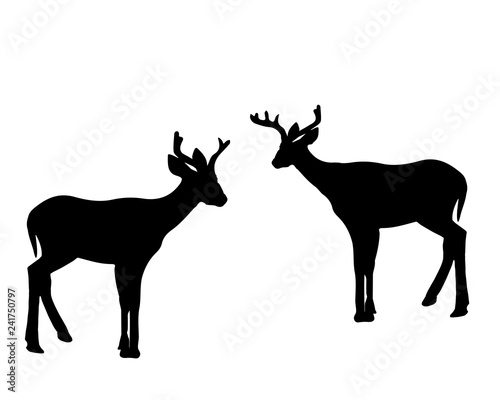 Animals-Two Young White Tail Fawn Silhouettes