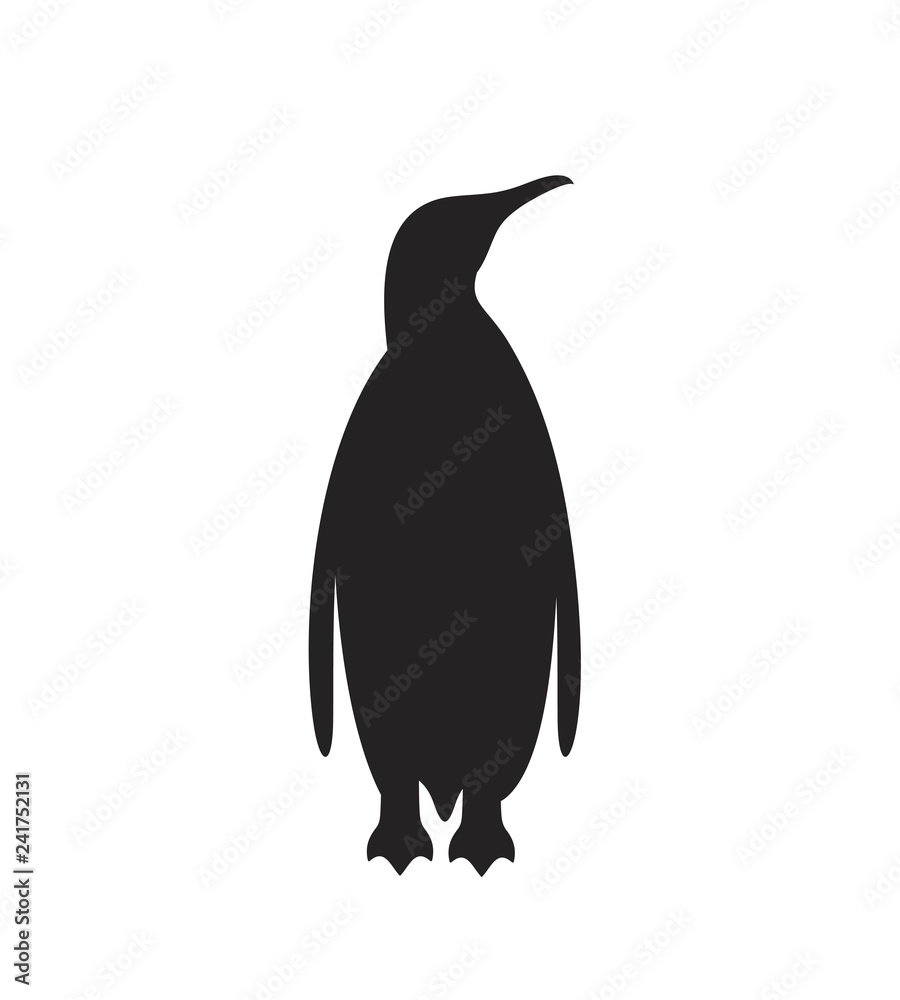 Fototapeta premium Sylwetka pingwina. Odosobniony pingwin na białym tle. Ptak