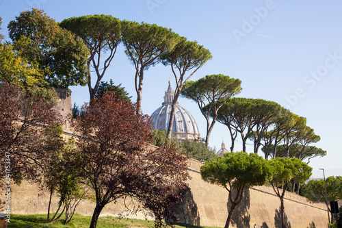 View of the Saint Peter's basilica in Vatican, Rome (Italy), seen from outside the Vatican city on the Viale Vaticano. 