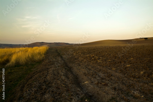 Plowed fields in Tavoliere, Apulia, Italy