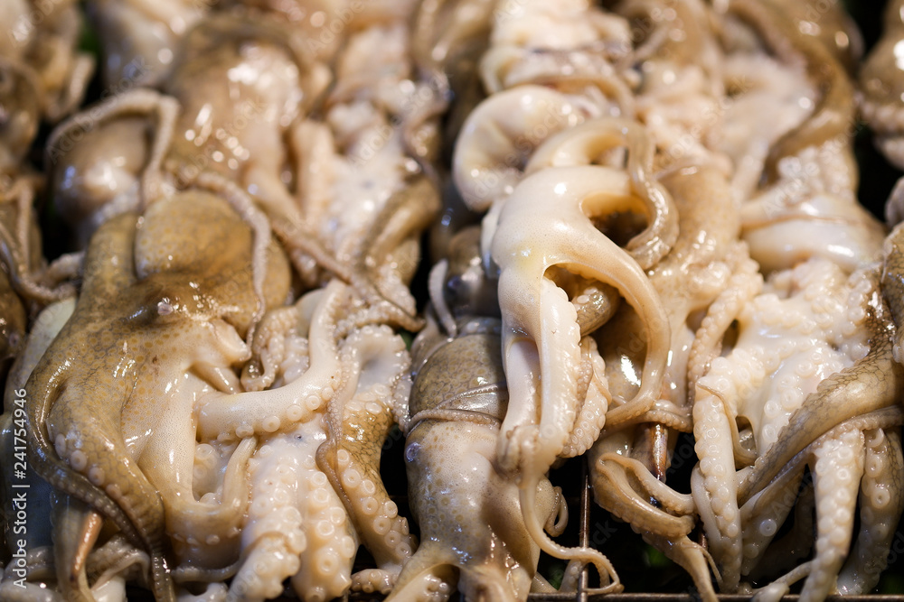 Fresh squid is placed on the grill to be sold in the market. Fresh squid is placed on the grill to be sold in the market.