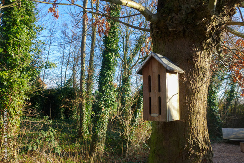 Birdhouse on a tree © patricia