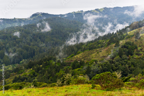Mist rises from Muir Woods as seen from Mount Tamalpais State Park, Ca