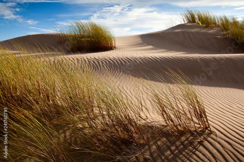 Guadalupe-Nipomo Dunes National Wildlife Refuge, Guadalupe, California