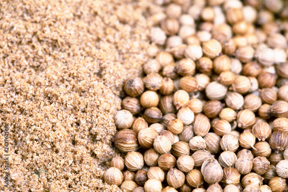 Coriander Seeds and Powder