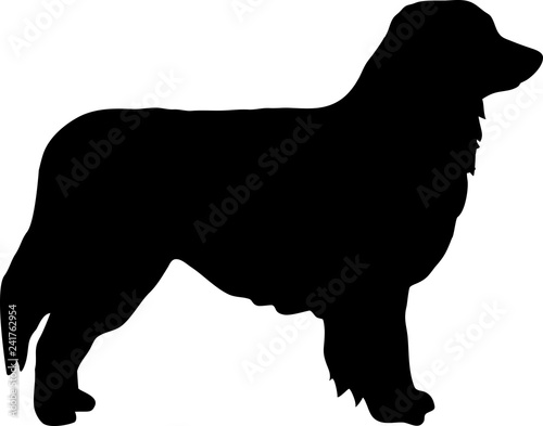 Australian Shepherd silhouette