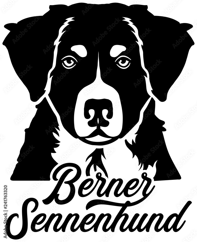 Bernese Mountain face german Bernese Mountain face german