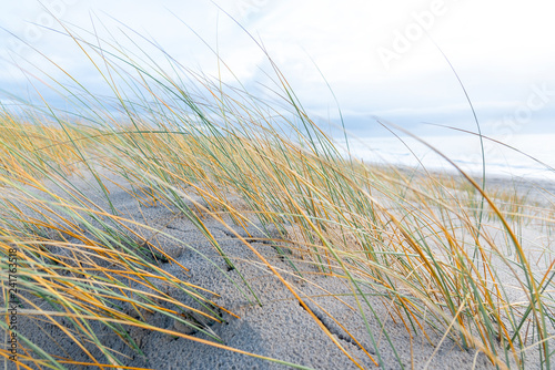 Am Strand von Blavand  D  nemark