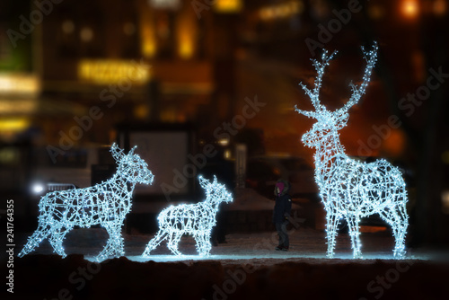 Animals Christmas decorations photo