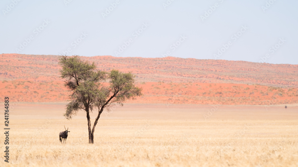 Oryx Tree