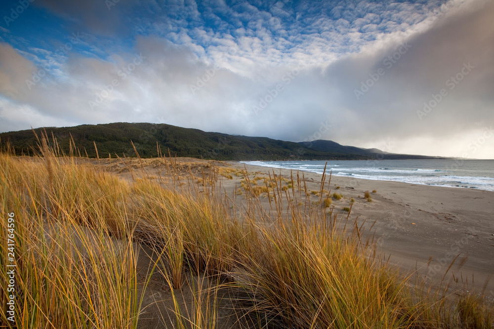 Valdivia Coastal Reserve, Chile: Scenic landscapes along the reserve. Valdivia Coastal Reserve, Chile: Scenic landscapes along the reserve.