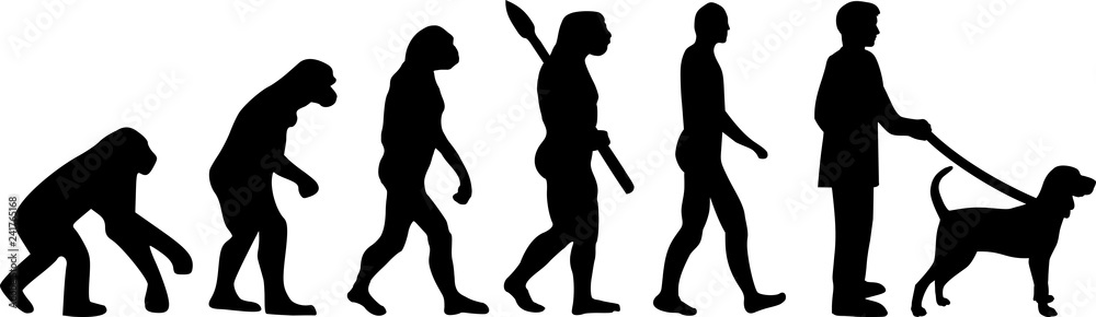 Black and Tan Coonhound evolution Black and Tan Coonhound evolution