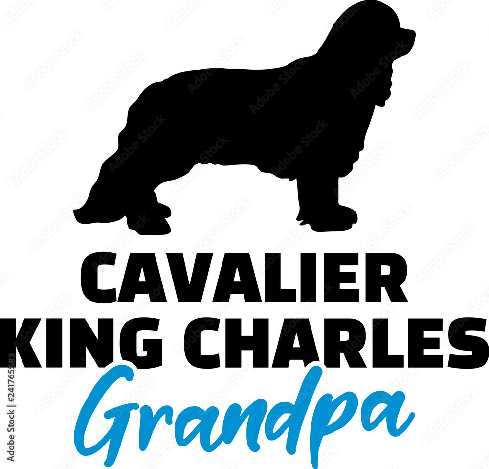 Cavalier King Charles Grandpa with silhouette Cavalier King Charles Grandpa with silhouette