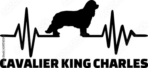 Cavalier King Charles frequency silhouette