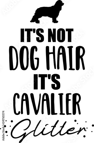It's not dog hair, it's Cavalier glitter