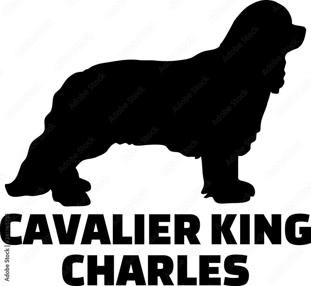 Cavalier King Charles silhouette name Cavalier King Charles silhouette name