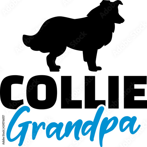 Collie Grandpa with silhouette