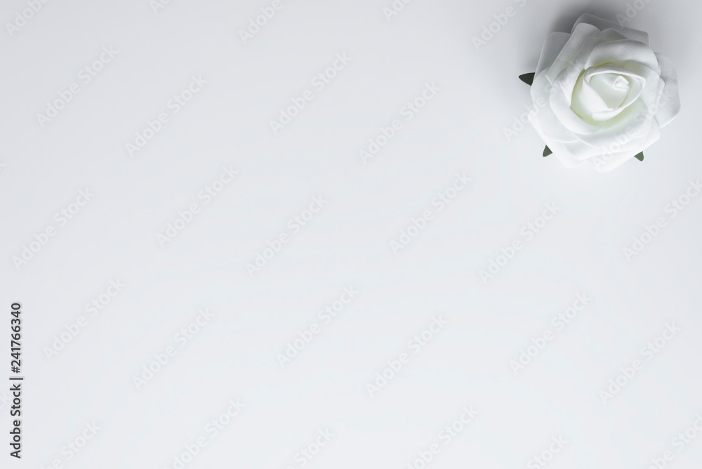 Single rose flower in white color, lies on white background with copy space for Happy Valentines Day wishes. Love concept. Single rose flower in white color, lies on white background with copy space for Happy Valentines Day wishes. Love concept.