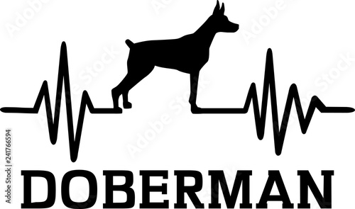 Doberman heartbeat with silhouette