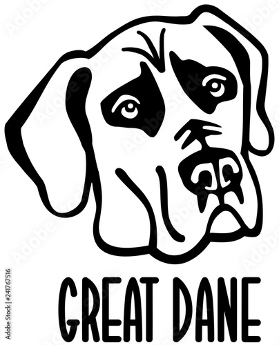 Great Dane head