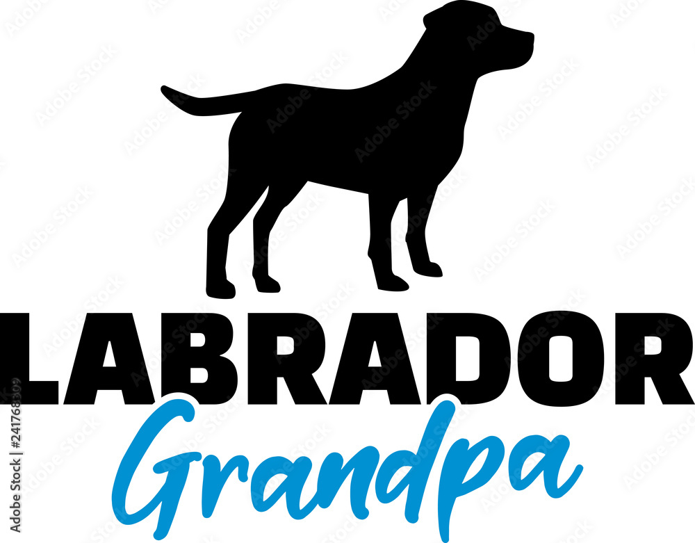 Labrador Grandpa with silhouette