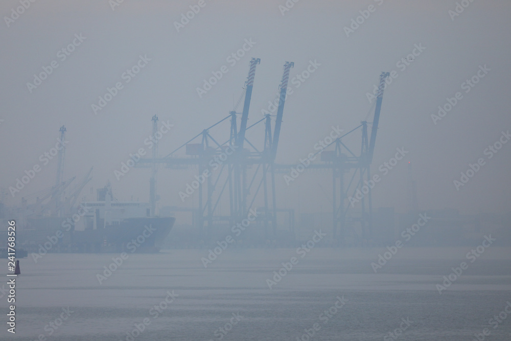 Obraz premium Cranes in harbor