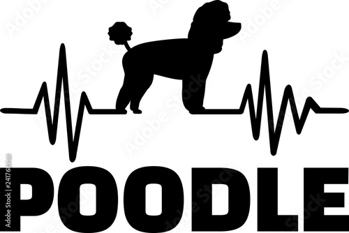 Poodle heartbeat with silhouette