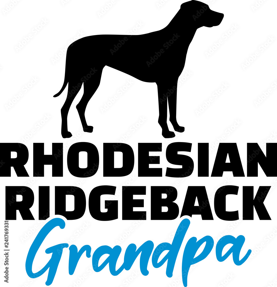 Obraz premium Rhodesian Ridgeback Grandpa with silhouette