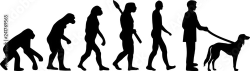 Saluki evolution