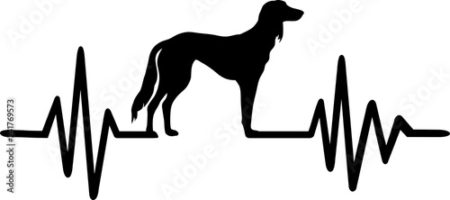 Saluki heartbeat