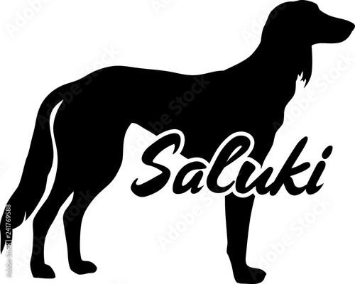 Saluki silhouette real word