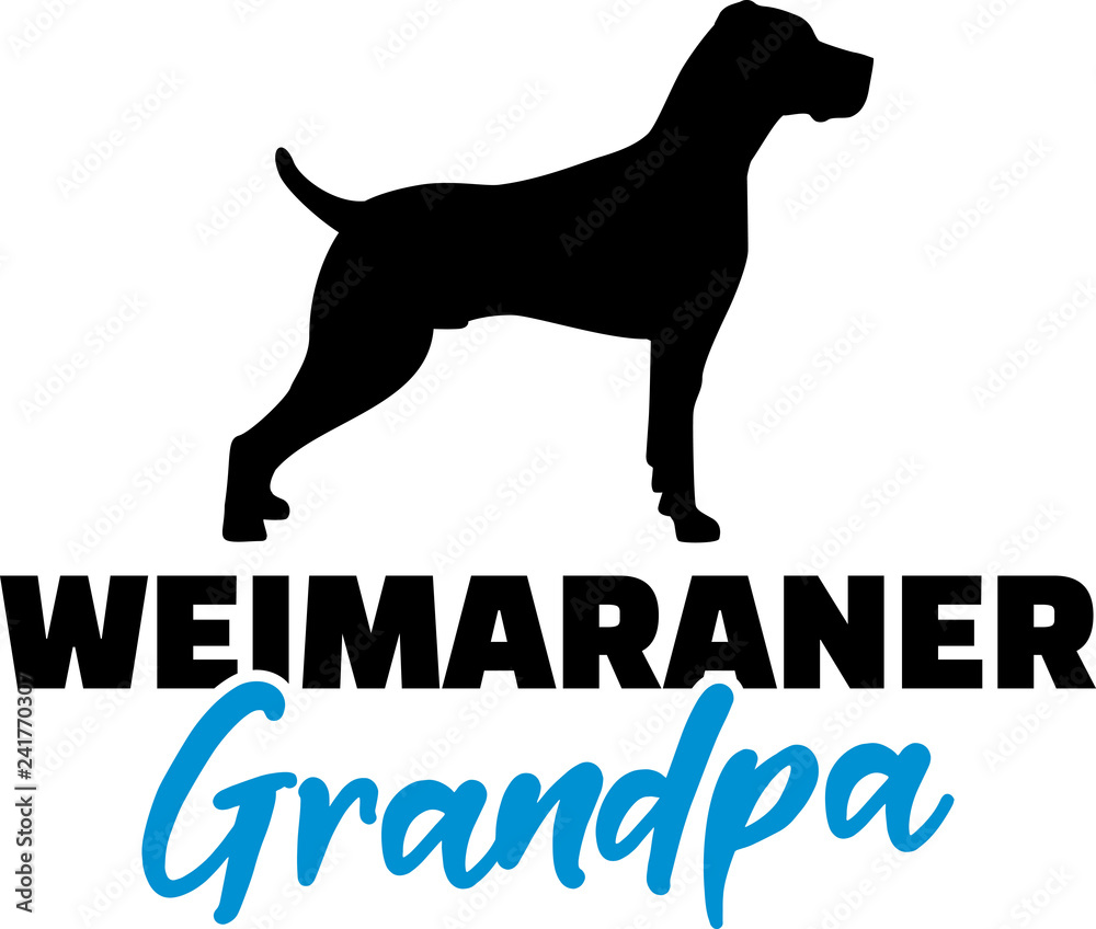 Weimaraner Grandpa with silhouette