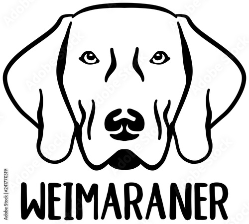 Weimaraner head with name