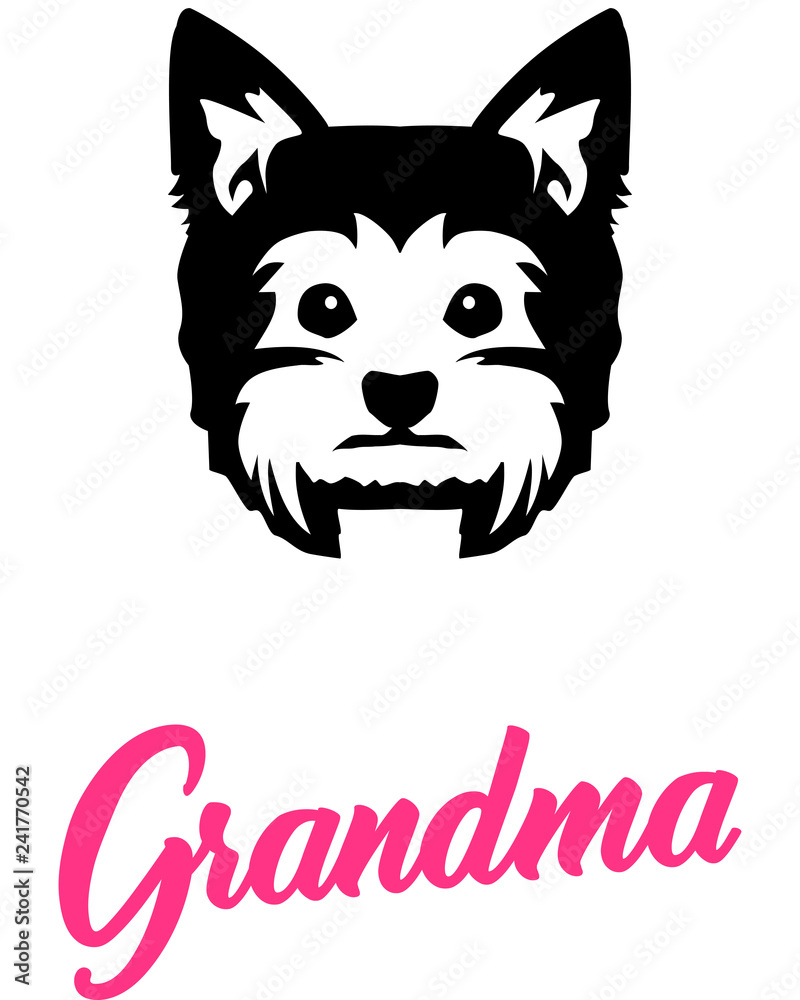 Fototapeta premium Yorkie Grandma with silhouette