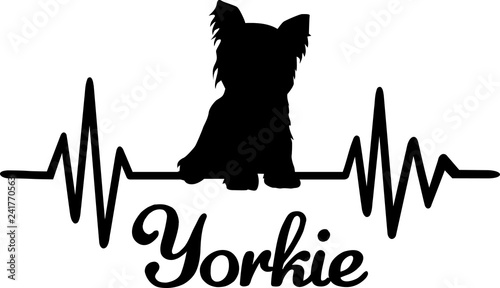 Yorkie frequency silhouette photo