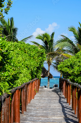 A boardwalk path leading to the beautiful beach 