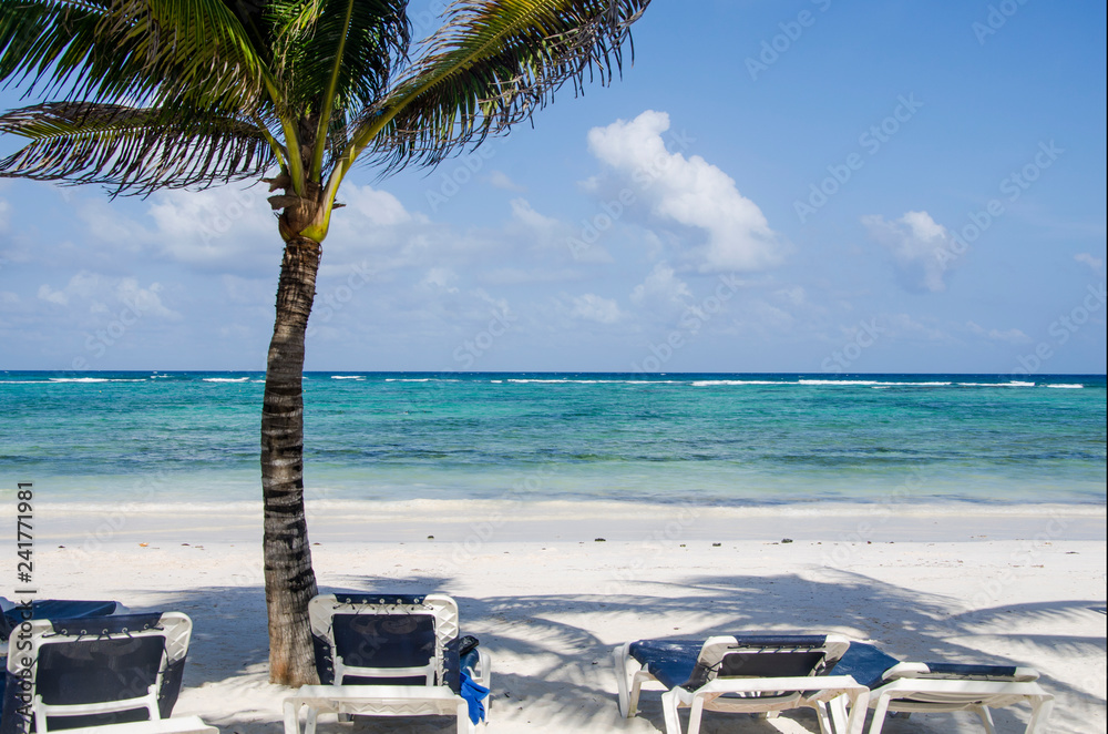 Tropical beach with white sand and the palm trees in Riviera Maya, Mexico
