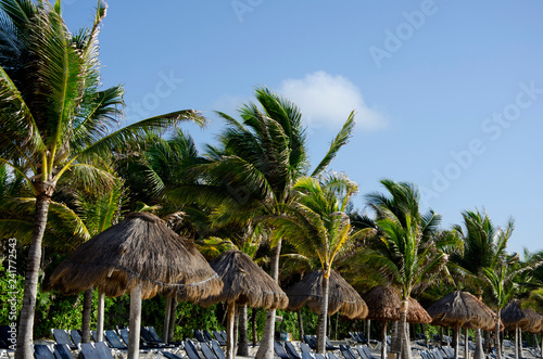 Tropical beach with white sand and the palm trees in Riviera Maya, Mexico 