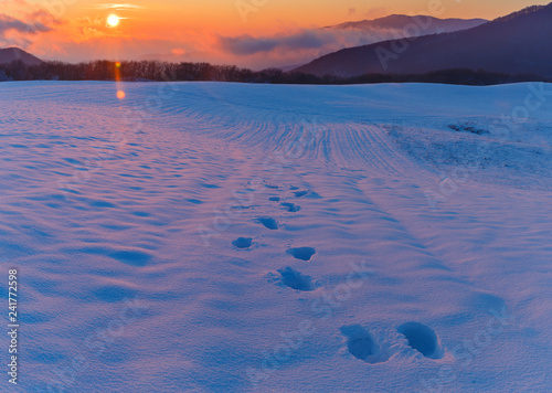 Frosty sunset in the mounta...