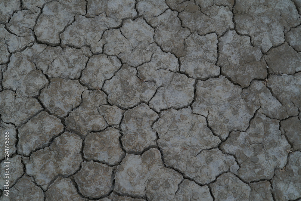 cracked ground in the desert in winter