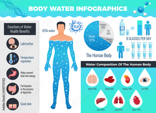 Body And Water Infographic Set