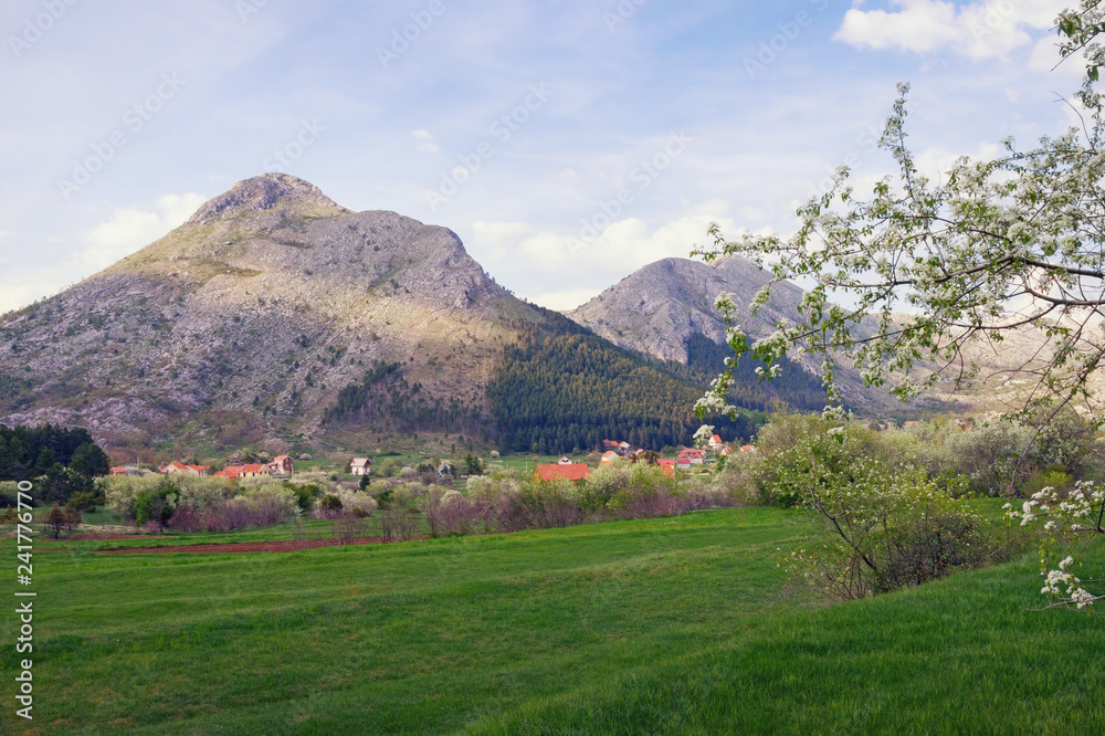 Spring day in mountains.  Montenegro,  view of Lovcen National Park near Njegusi village