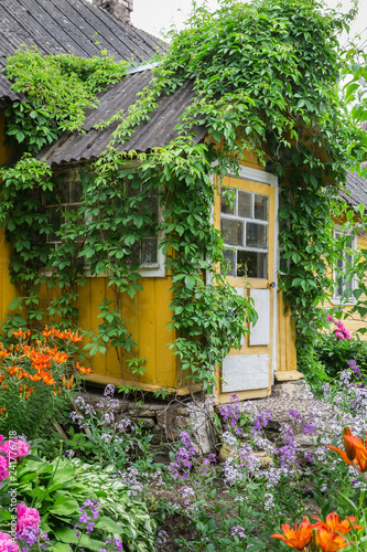 Beautiful vintage cottage with colorful landscaping © Fotoksa