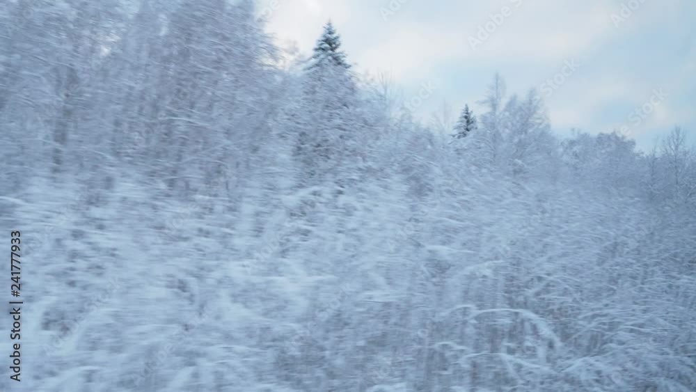 train travel in winter. view from the window. snow-covered landscapes and forest train travel in winter. view from the window. snow-covered landscapes and forest