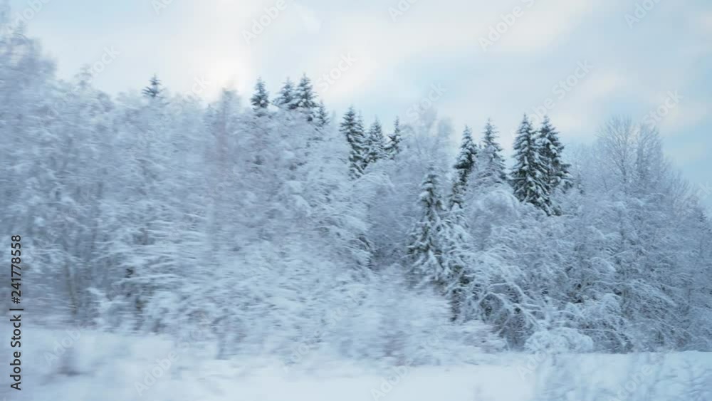 train travel in winter. view from the window. snow-covered landscapes and forest