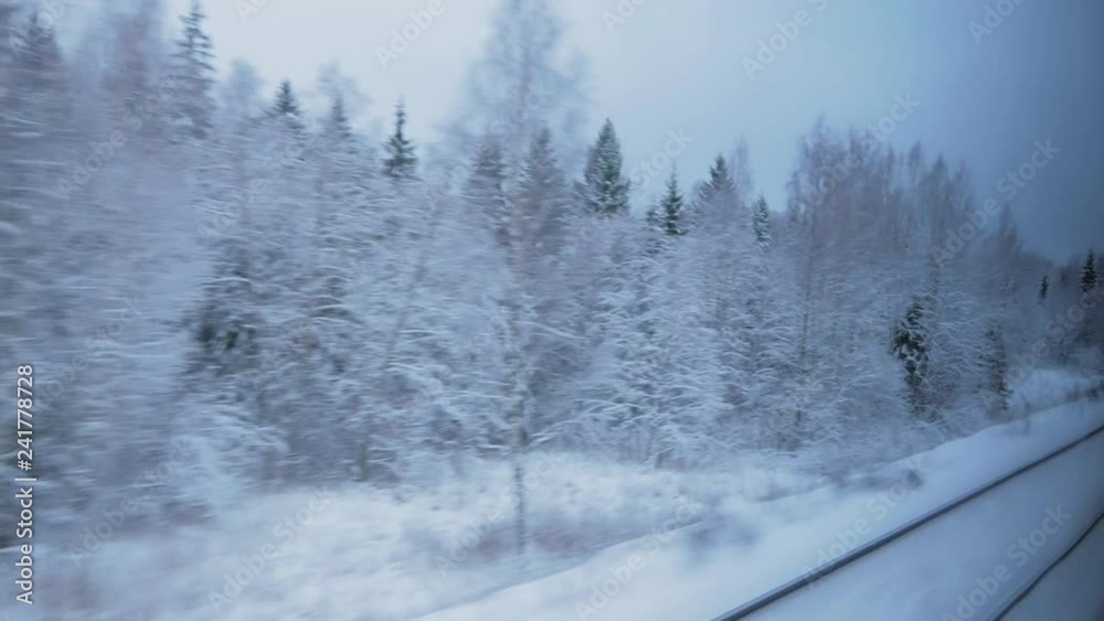 train travel in winter. view from the window. snow-covered landscapes and forest