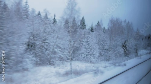 train travel in winter. view from the window. snow-covered landscapes and forest
